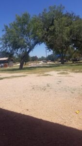 Pleasanton Skatepark © shells Yeah on Google Maps