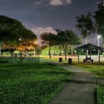 Skate Park At Frost Park