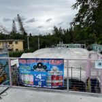 Skatebird Miami