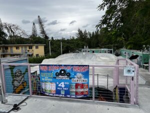Skatebird Miami