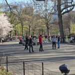Skater’s Circle