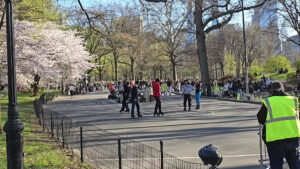 Skater’s Circle © Sean Faison on Google Maps
