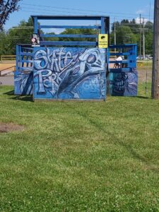 Slabtown Skate And Bike Park © Kristin Emerson on Google Maps