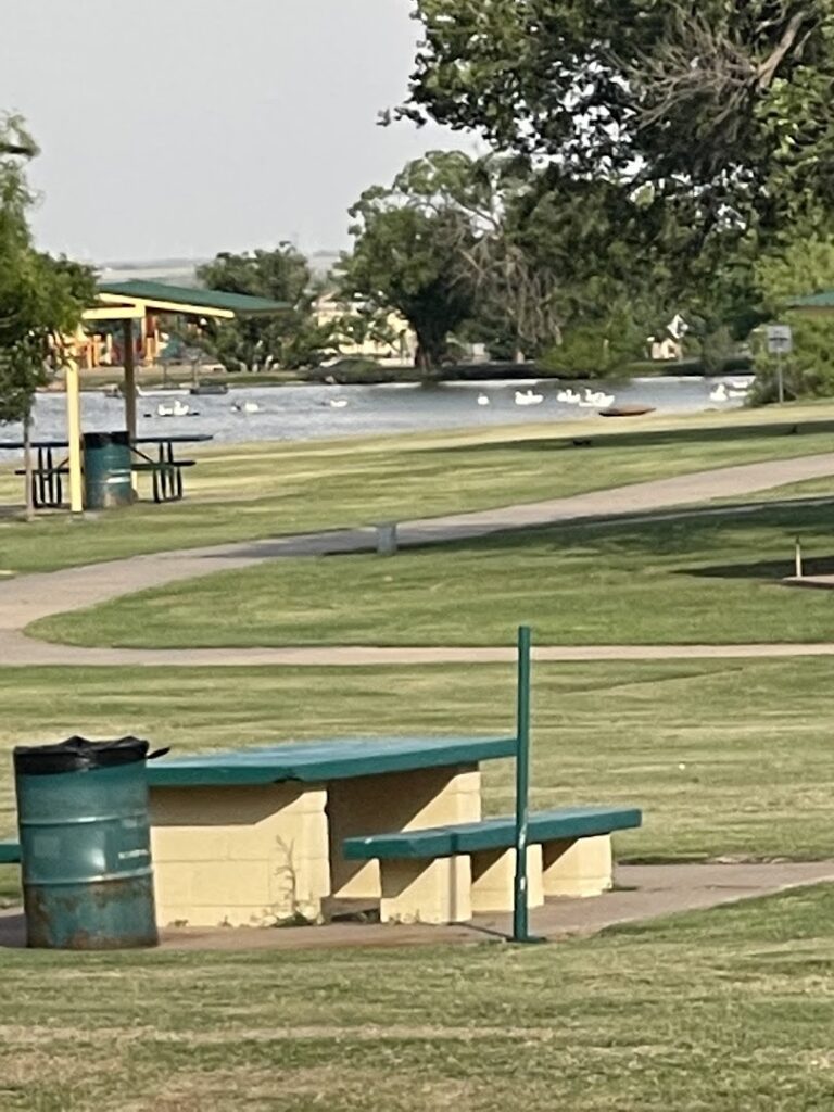 Snyder Skatepark © Ricardo Casas on Google Maps