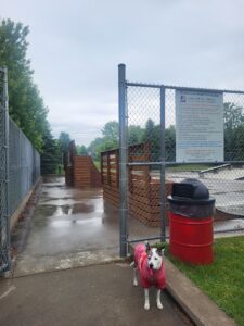 South Haven Skate Park © George on Google Maps