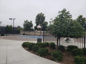 Stanton Skatepark © Chris Mike Smith SurfSmith82 IG on Google Maps