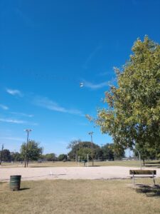 Sulphur Springs Tx Skate Park © Steven J. Clark on Google Maps