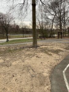 Sunnyside Skate Park © Michael Sloan on Google Maps