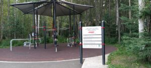 Taku Lake Skate Park