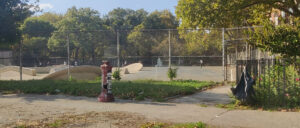 Thomas Jefferson Park Skate Park © Alrick collins Sr. on Google Maps