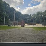 Thrills N Spills Skate Park