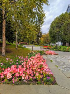 Town Square Park © Bloodtech Transfusion on Google Maps