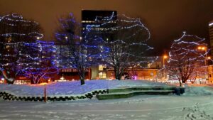 Town Square Park © Ani Palaus - Tampa Bay Realtor & Mortgage on Google Maps