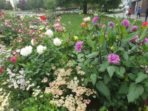 Town Square Park © Yaniv Katz on Google Maps