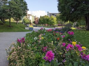 Town Square Park © Johnathan Franck on Google Maps