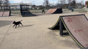 Troy Skate Park © Skatedex on Google Maps
