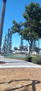 Village Skate Park © jorge rios on Google Maps