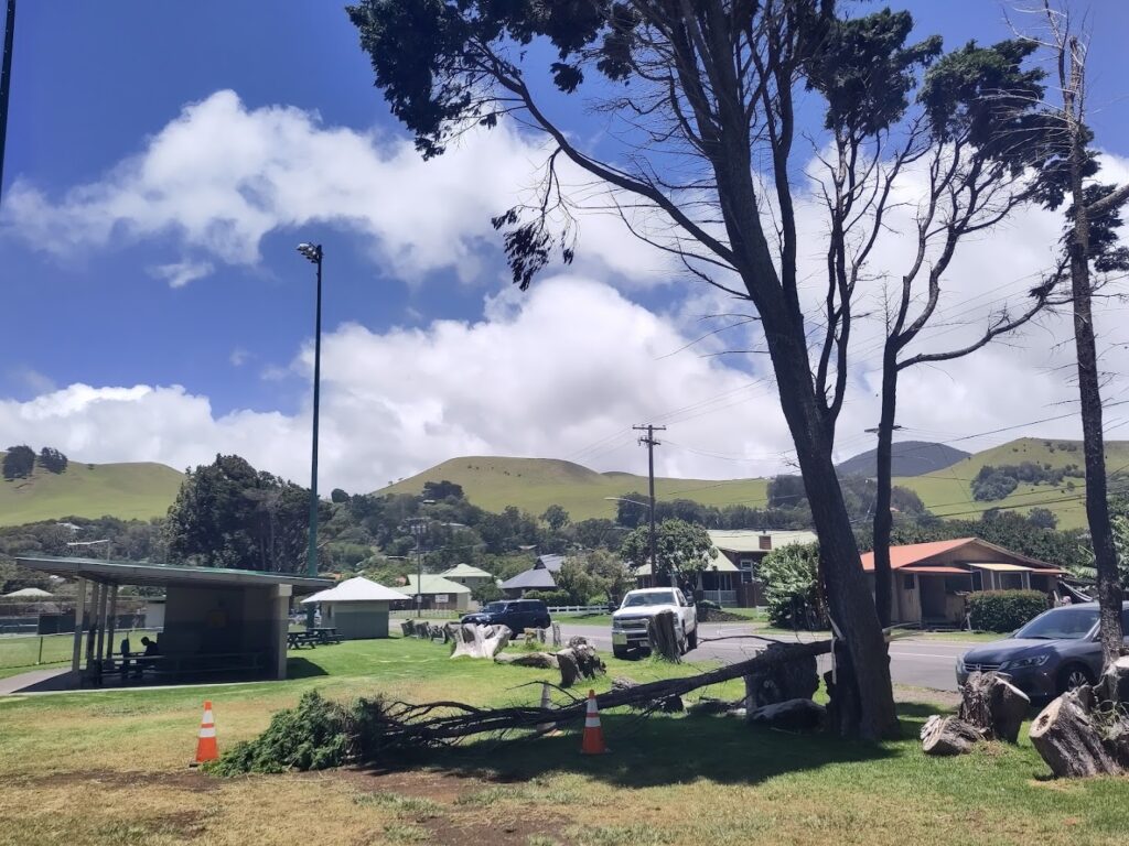 Waimea Skatepark © Lukas Grimm on Google Maps