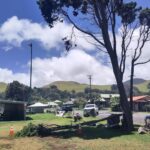 Waimea Skatepark