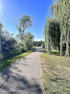 West Roosevelt Skatepark © Marissa Gillette on Google Maps