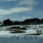 Weston Skateboard Park