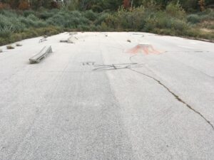 White Rock Skatepark © Ian Hutchinson on Google Maps