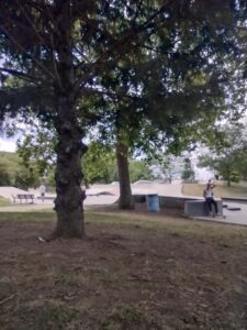 Willard Skatepark © Diana Ingemanson on Google Maps
