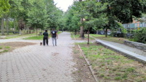 Williamsbridge Oval Skate Park © Derek Littlefoot on Google Maps