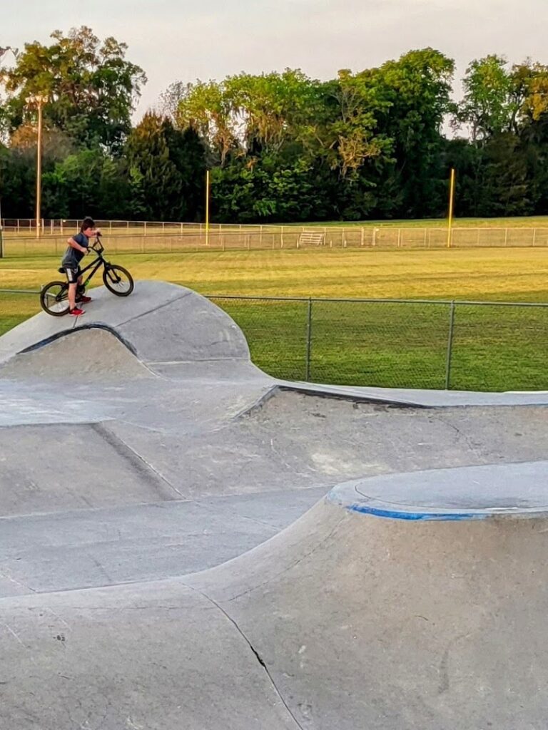Procko Skatepark © Lana Foster on Google Maps