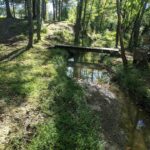 Carl Yearwood Park