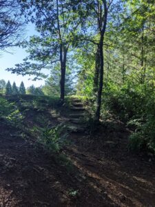 Carl Yearwood Park © Christina Padilla on Google Maps