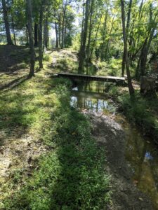 Carl Yearwood Park