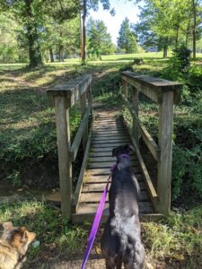 Carl Yearwood Park © Christina Padilla on Google Maps