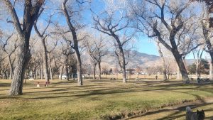 Carson City Skate Park © greg on Google Maps