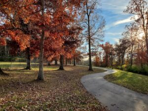 Centennial Park © a c on Google Maps