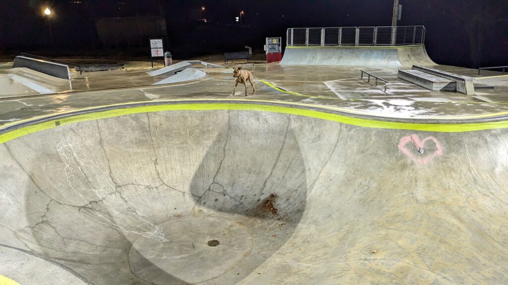 Centennial Skate Park © Scott Nicolay on Google Maps