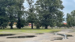 Concord Public Skatepark © Eddy on Google Maps