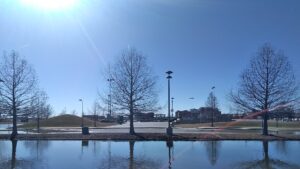 Davenport Skatepark © Nathan Bargren on Google Maps