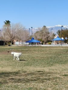 Duck Creek Park © Daniel DiVincenzo on Google Maps