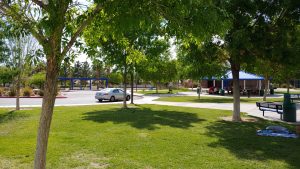 Duck Creek Park Skatepark © M (Team Z.) on Google Maps