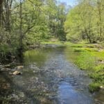 Fred Deadman Park