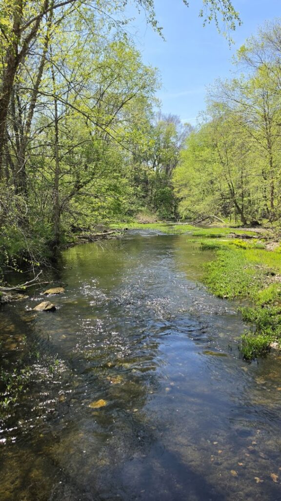 Fred Deadman Park © Patti Pomerleau on Google Maps