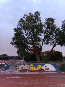 Hadley Skate Park © Isabell Diaz on Google Maps