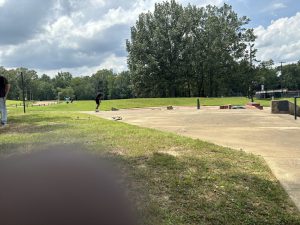 Houston Levee Skate Park © Frjinn on Google Maps