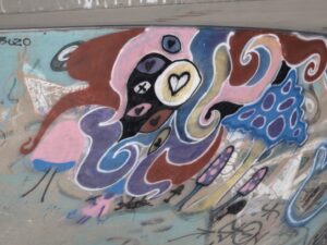 Iowa City Skatepark © John Johnson on Google Maps