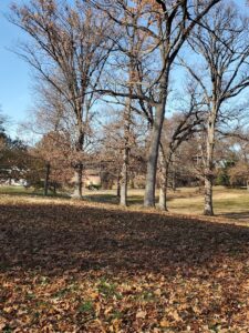 Jefferson Barracks Skate Park © Deb Wheeler on Google Maps