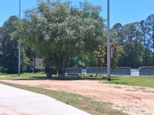 John Slidell Skate Park © robert heaton on Google Maps