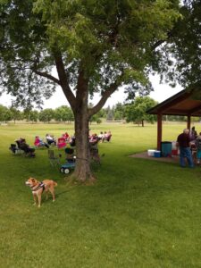 John Ward Park © Concerned Citizen on Google Maps