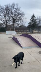 Lake Mills Skatepark © Nathan Timmons on Google Maps
