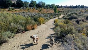 Las Brisas Park © Lidija Painkiher on Google Maps
